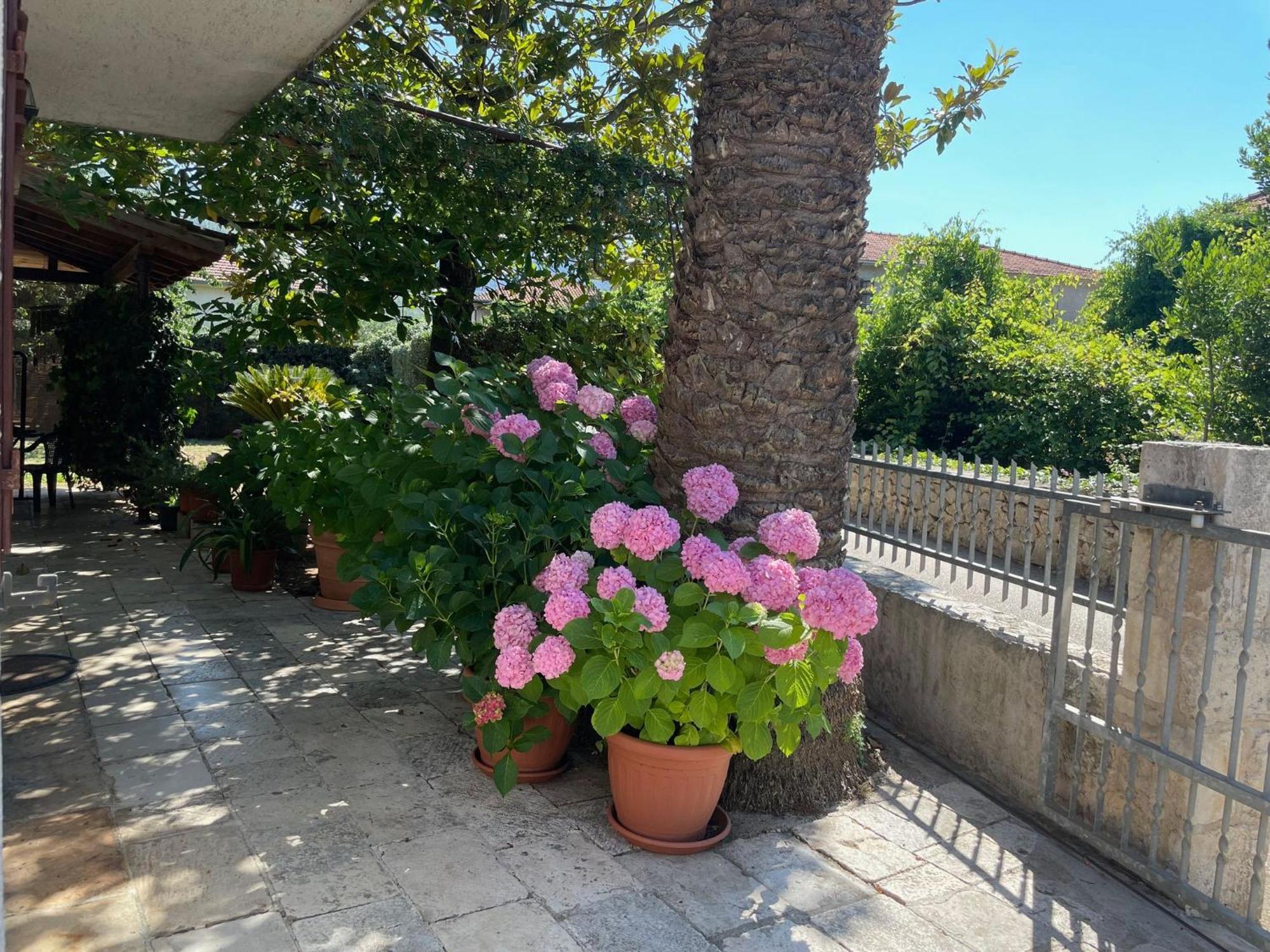 Hvar Guesthouse - Double Bedroom With Private Bathroom Jelsa  Exterior foto
